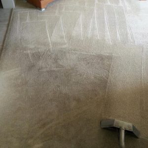 Commercial Carpet Cleaner in Central Florida