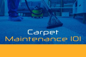 Carpet Maintenance 101